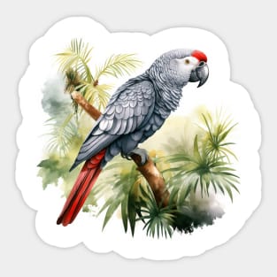 African Grey Parrot Sticker